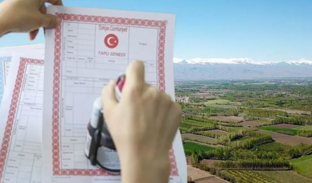 Türkiye’de arazi rallisi: En çok artış o illerde görüldü