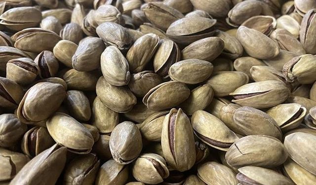 Fıstıkta rekor fiyat artışı!