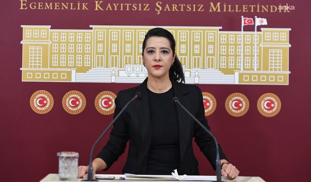 EMEP'li Karaca, Akdeniz'deki mikroplastik kirliliğini Meclis gündemine taşıdı..