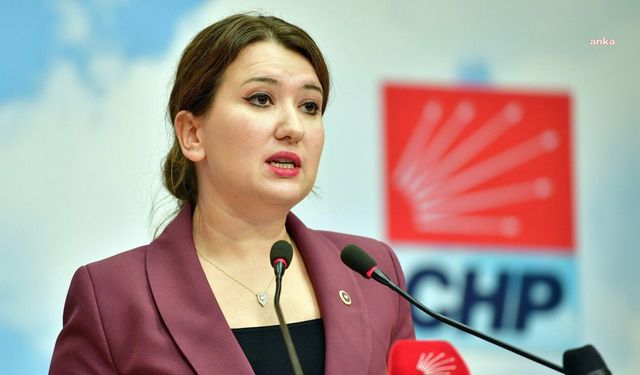 CHP'li Gökçen'den BİRTEK-SEN Genel Başkanı Mehmet Türkmen'e destek mesajı