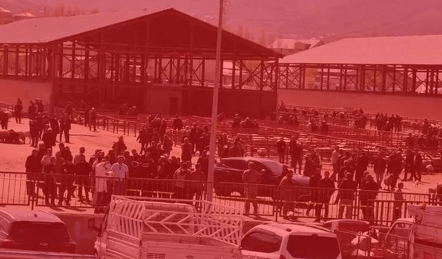 Kurban Bayramı öncesi Van’daki hayvan pazarı kan gölüne döndü! Ölü ve yaralılar var