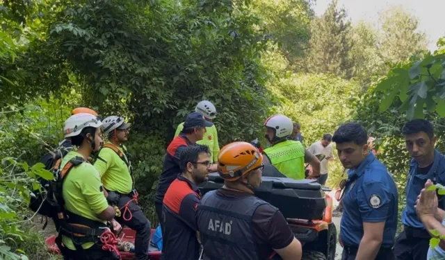 Uludağ'da ıhlamur toplamaya giden yaşlı adamdan acı haber