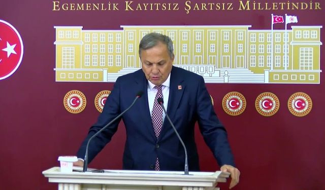 Seyit Torun: TMO, fındığın fiyatını daha aşağı çekmenin önünü açacak