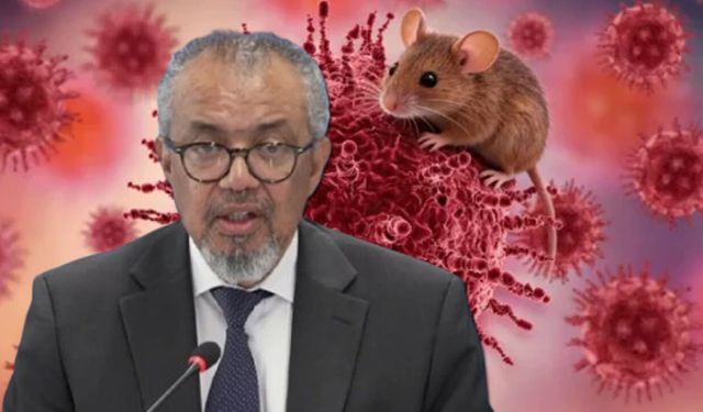DSÖ Genel Direktörü Ghebreyesus'tan hantavirüs salgını açıklaması!