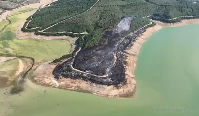 Tekirdağ’da orman yangını: 80 dekar alan zarar gördü