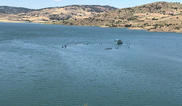 Musabeyli Cemil Çiçek Barajı'nda su seviyesi ilk kez yüzde 50'nin üzerine çıktı