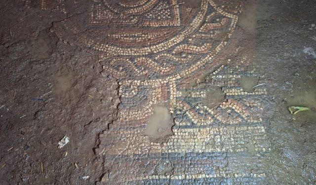 Mardin'de 1500 yıllık tarihi mozaik ele geçirildi