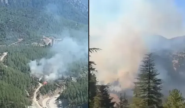 Adana’da peş peşe orman yangınları! Feke’de 2, Karaisalı’da 1 bölge alevlere teslim
