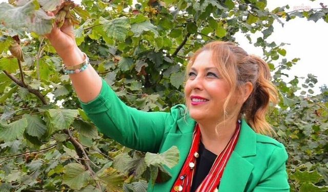 YENİ Partili Gezmiş: “Fındıktaki fiyat çöküşü, üreticinin bitişi demektir"