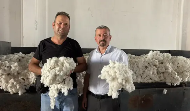 Aydın’da sezonun ilk pamuğu geldi! “Beyaz altın” için 100 TL’lik sembolik alım