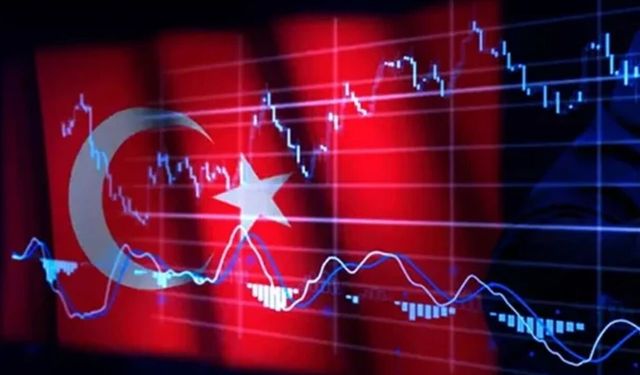 OECD, Türkiye'nin büyüme tahminini düşürdü, enflasyon beklentisini yükseltti