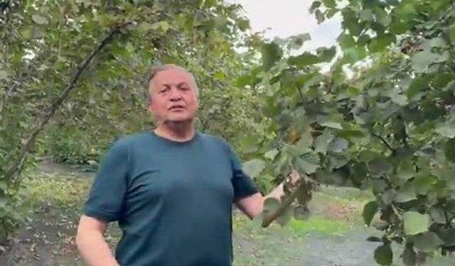 YENİ Partili Seyit Torun fındık bahçesinden iktidara seslendi