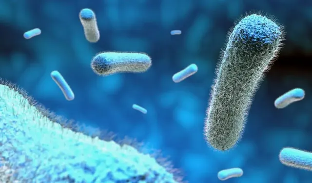 Bilim insanlarından yenidoğanlar için antibiyotik uyarısı: Yararlı bakteriler bağışıklığı güçlendiriyor!