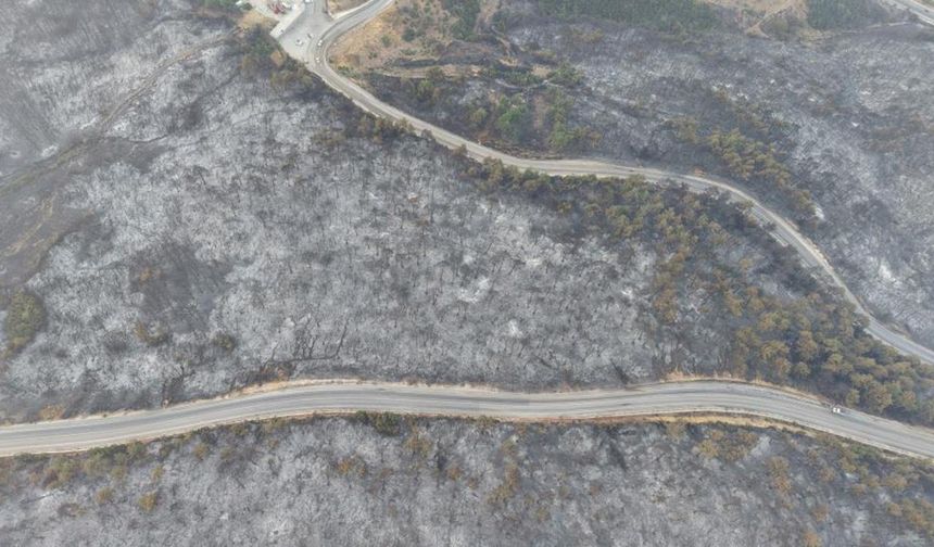 Gece boyu yandı! Felaketin boyutu gündüz ortaya çıktı...