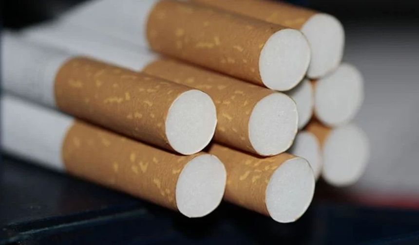 88 sigara çeşidinin 83’ünde mikroplastik bulundu