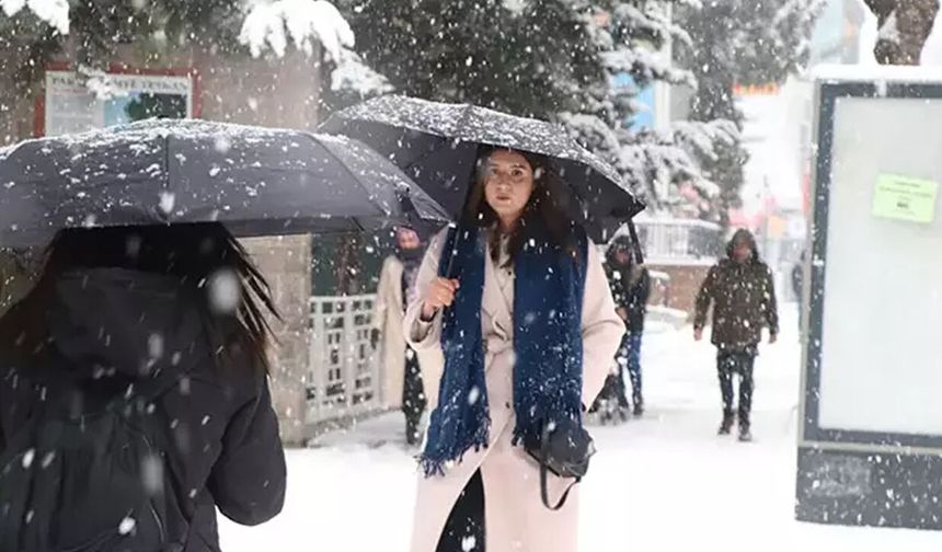 Kar yağışı nedeniyle 2 ilde eğitime ara verildi