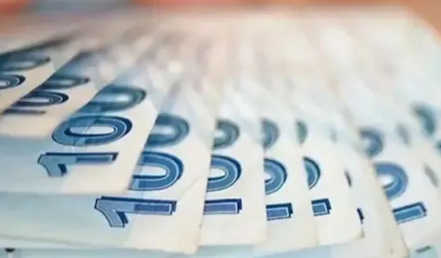 Bireysel Emeklilik Sistemi’nde kritik değişiklik: BES'te devlet katkısı düşecek!