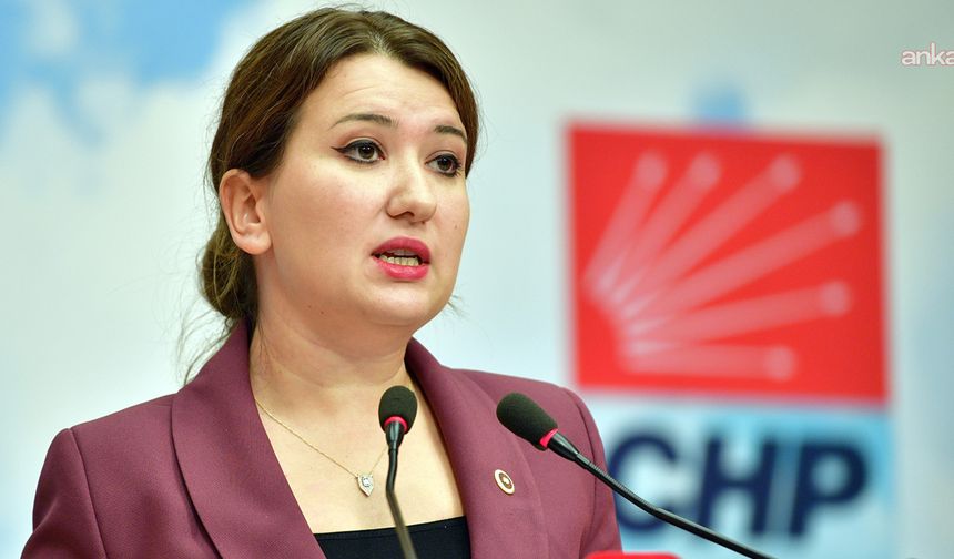 CHP'li Gökçe Gökçen'den Bilgekağan Şarbat açıklaması! Gözdağı olsun diye tutuklandı