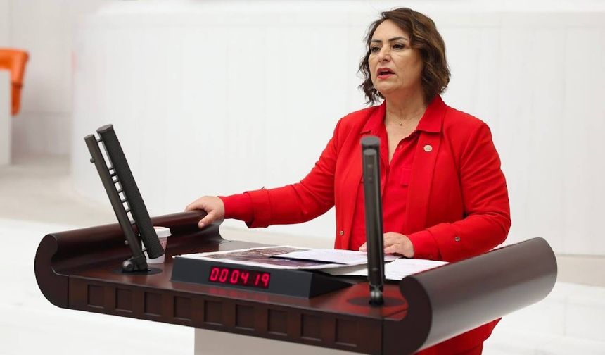 CHP Milletvekili Müzeyyen Şevkin: ‘Kimsenin aç yatmadığı Türkiye’yi birlikte kuracağız’