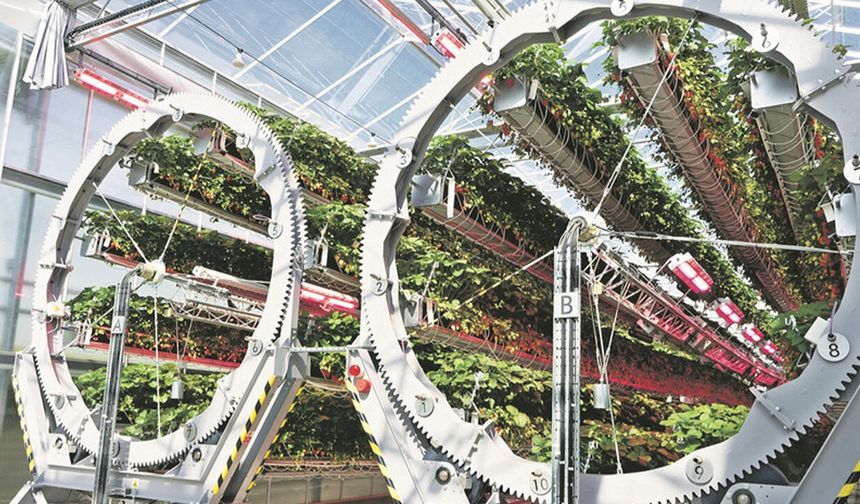 Elektrikli süpürge devi Dyson'dan tarımda devrim