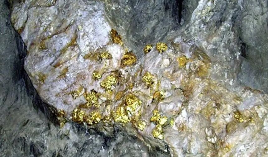 Altının gizemi çözüldü! 'Altından' deprem çıktı!