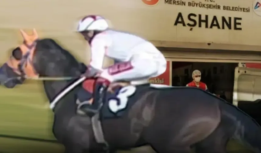 Mersin Büyükşehir Belediyesi'nden ‘at eti’ iddiasına açıklama