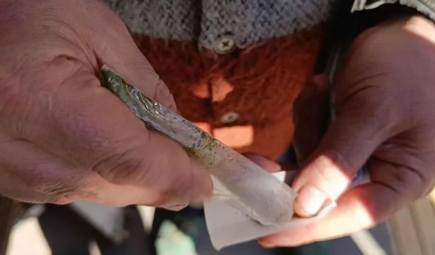 Günde 8 paket sigaraya bedel! Sinir sistemi ve kemik sağlığını tehdit ediyor