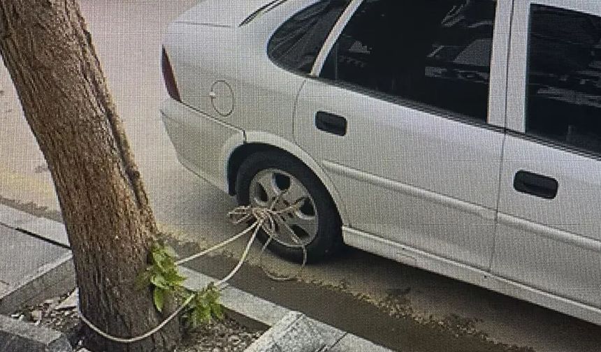Yüzlerce kişi evlerinden tahliye edildi, arabalar ağaca bağlandı: Tokat sele hazırlanıyor!