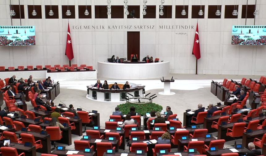 CHP'li Genç: Her gün yaklaşık 284 ruhsatsız silah ele geçiriliyor