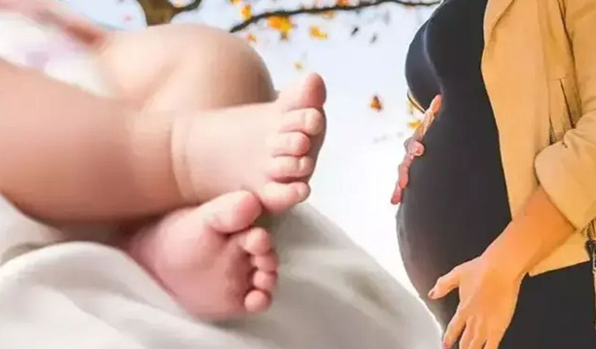 TÜİK Türkiye'nin doğum haritasını yayınladı
