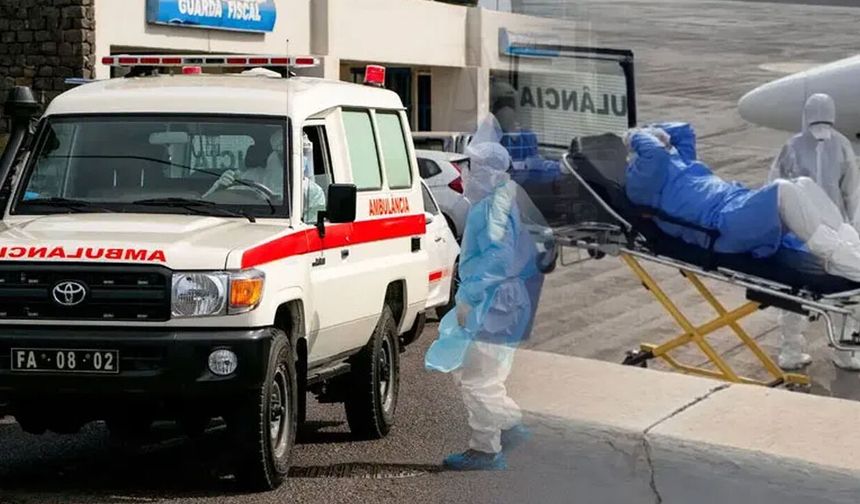 Hantavirüs Avrupa'ya sıçradı! 3 vefat yaşanmıştı...