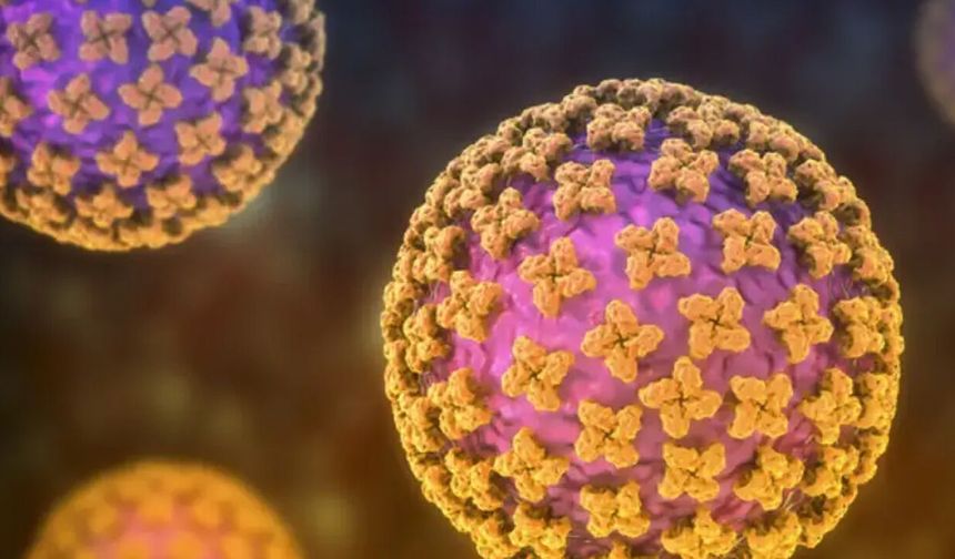 Sağlık Bakanlığı'ndan 'hantavirüs' açıklaması: Türk vatandaşlarının test sonuçları belli oldu