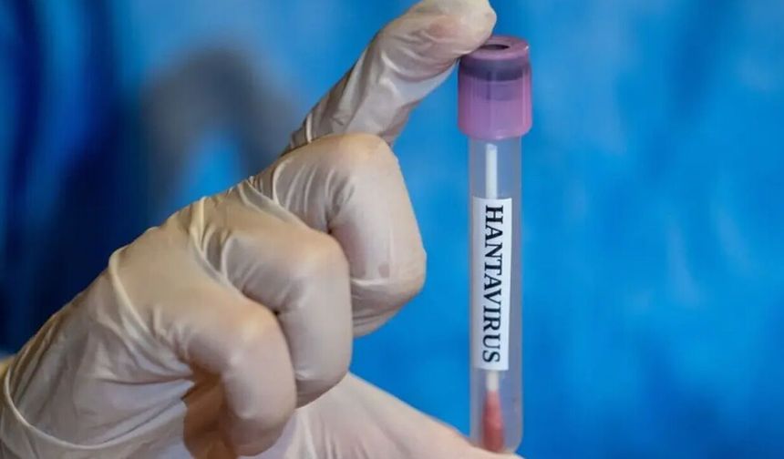 'Hantavirüs penis küçültüyor' iddiası sosyal medyada gündem oldu!