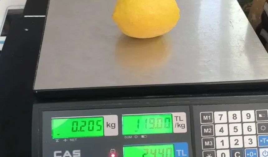 Türkiye'de limonun tanesi 24 lira!
