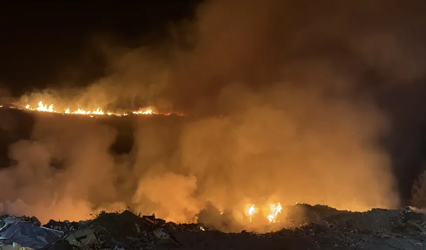 Bodrum’da korkutan yangın: Alevler rüzgarın etkisiyle hızla yayıldı!