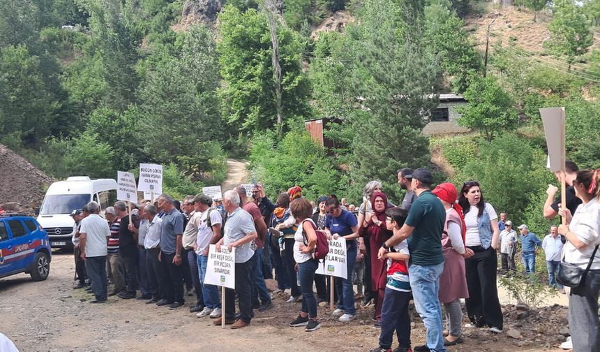 Çağlayan Vadisi için endişe: Şavşat'taki maden projesi mahkeme sürecinde