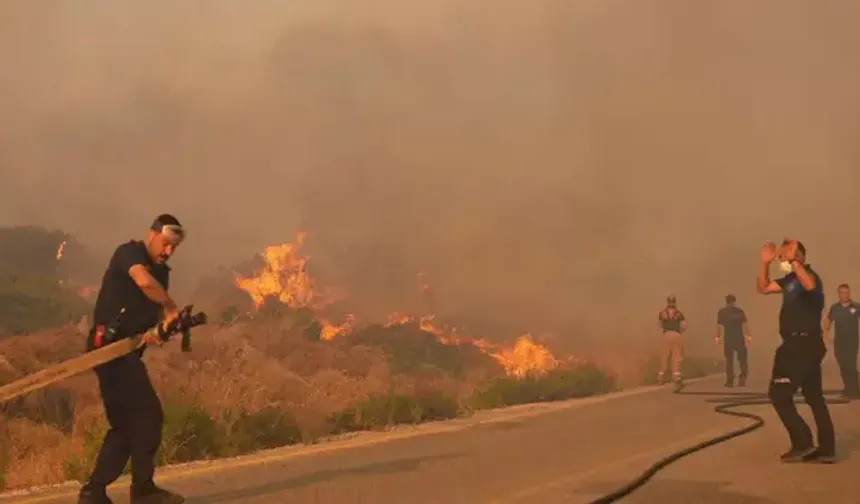 Uzmandan orman yangını uyarısı: Asıl tehlike şimdi başlıyor