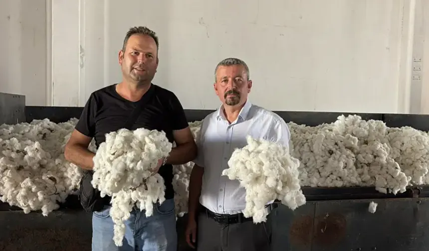 Aydın’da sezonun ilk pamuğu geldi! “Beyaz altın” için 100 TL’lik sembolik alım