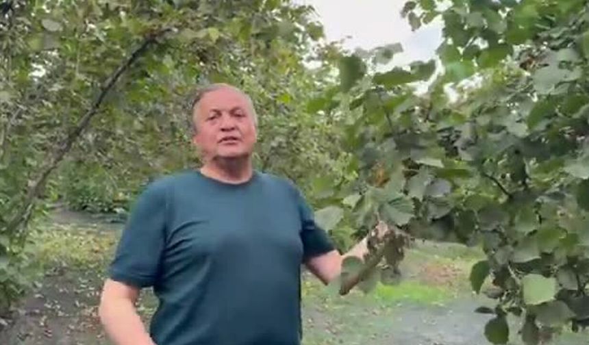 YENİ Partili Seyit Torun fındık bahçesinden iktidara seslendi