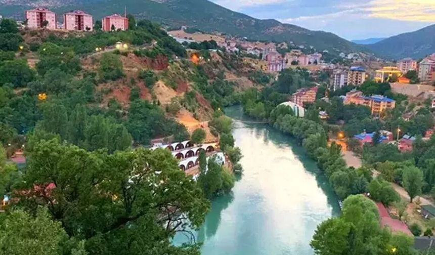 Dünyada sadece Tunceli’de yetişiyor! İzinsiz toplayanlara 2 milyon liralık ceza