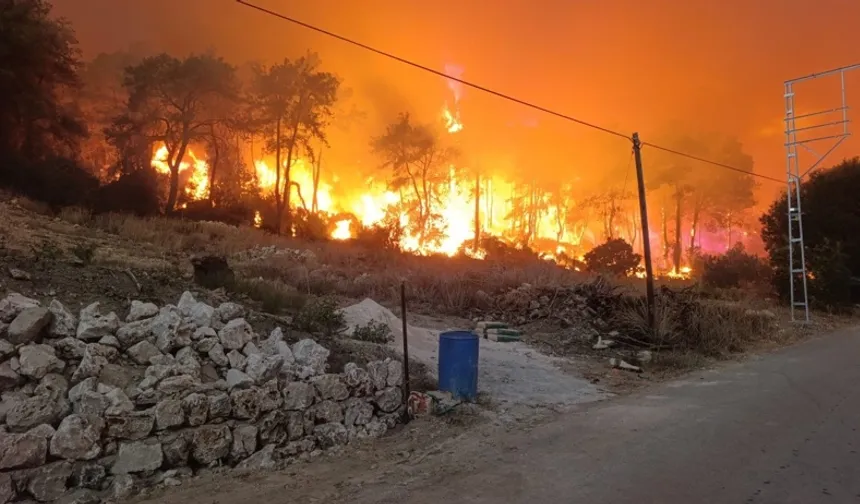 Antalya'da orman yangını: Çok sayıda ev boşaltıldı!